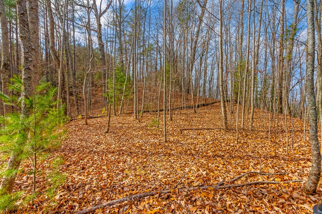 main property photo 11