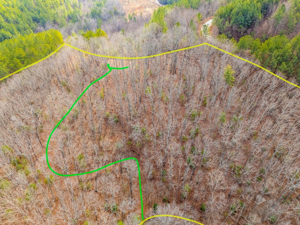 main property photo 20