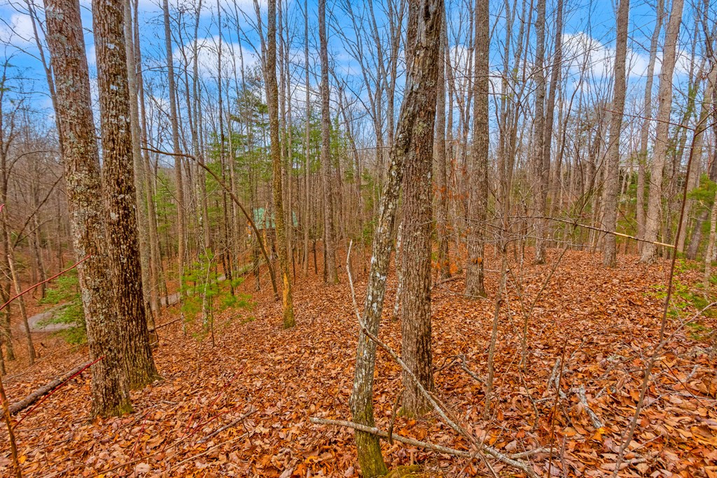 main property photo 14