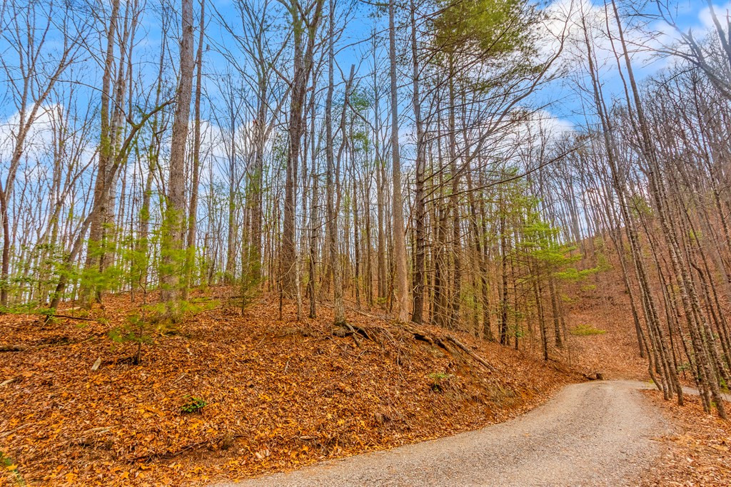 main property photo 19