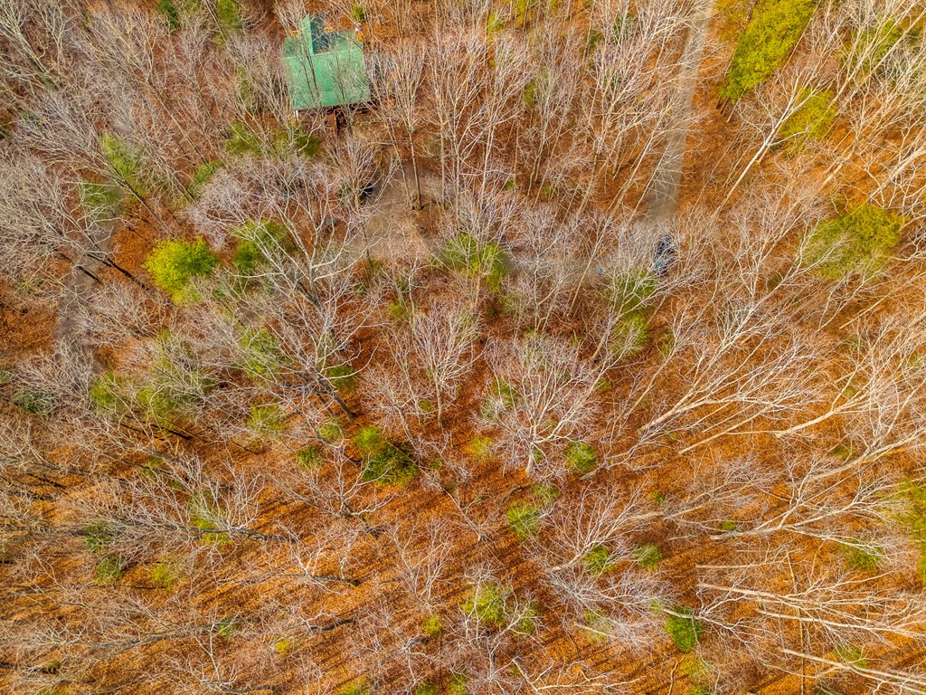 main property photo 25