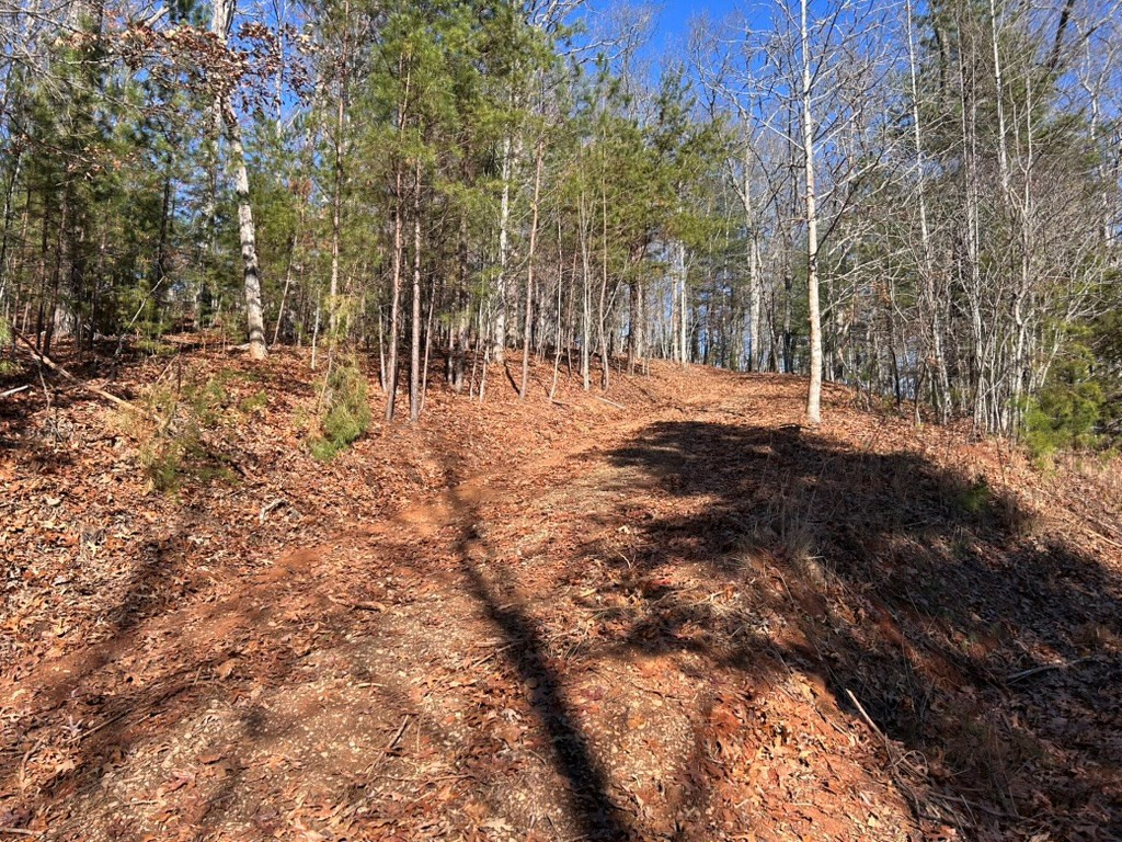 main property photo 8