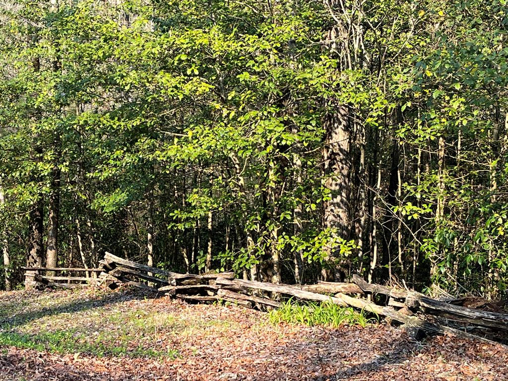 main property photo 67