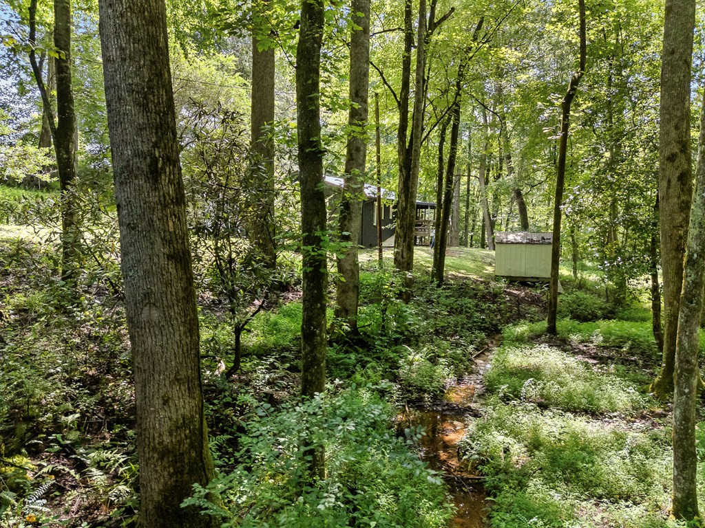 main property photo 52