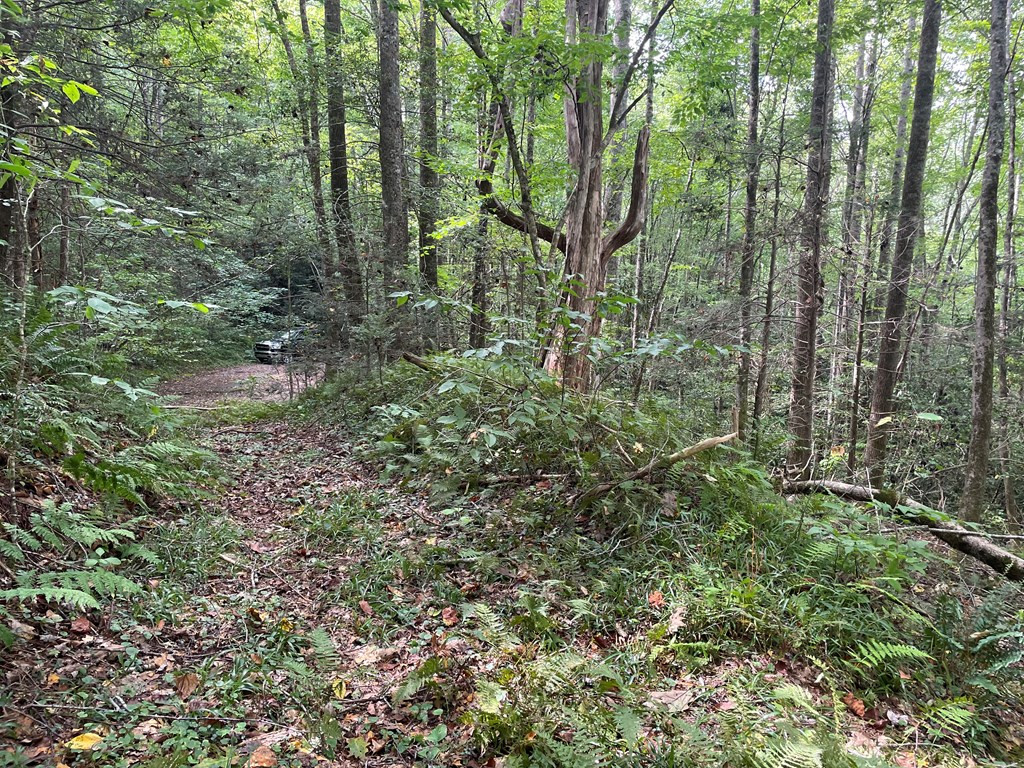 main property photo 6