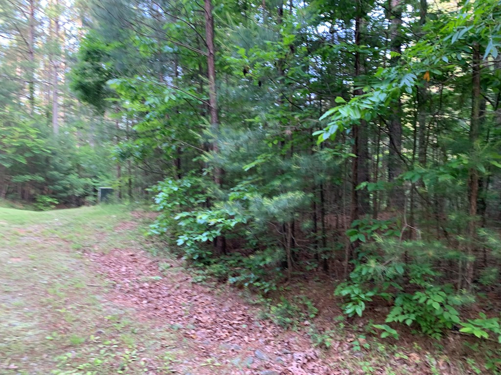main property photo 12