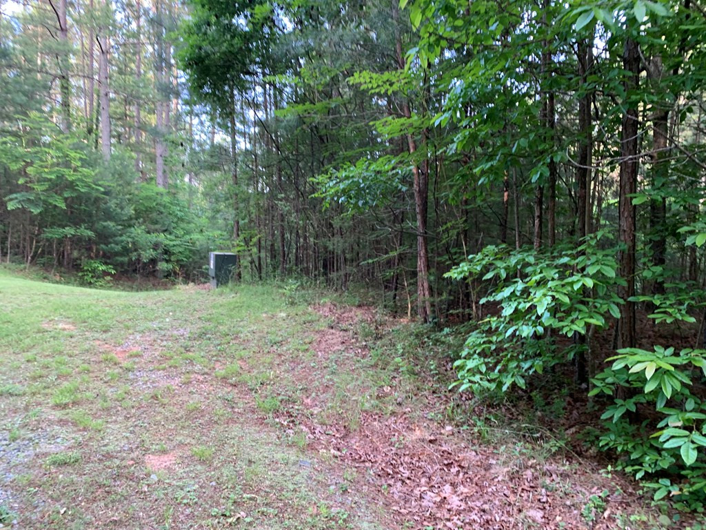 main property photo 14