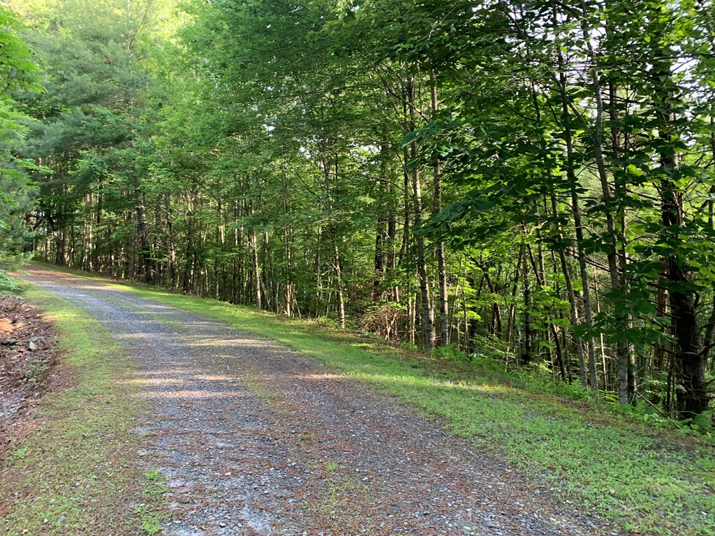 main property photo 16