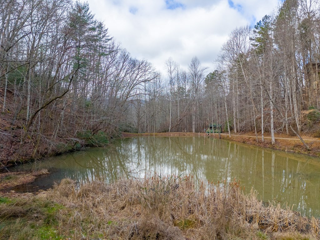 main property photo 46