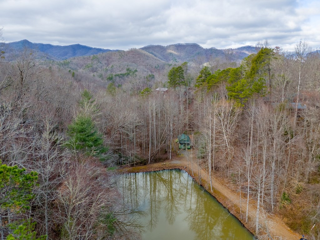 main property photo 52
