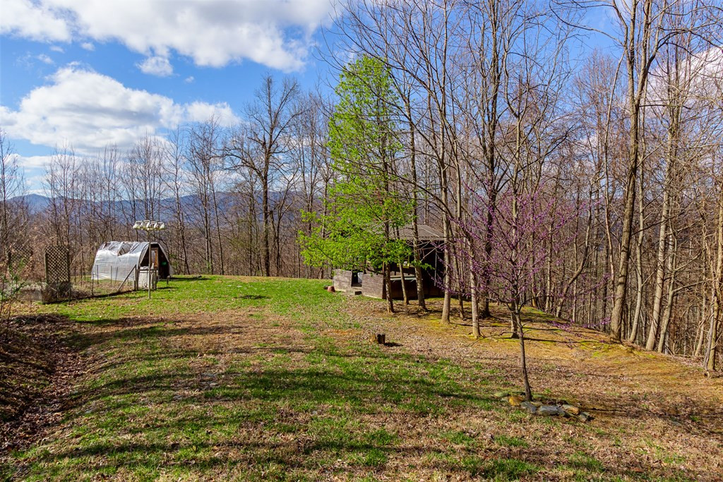 main property photo 74