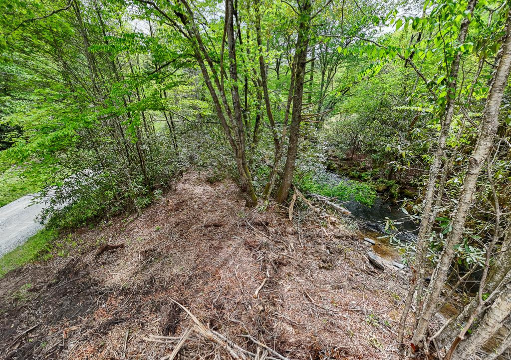 main property photo 100
