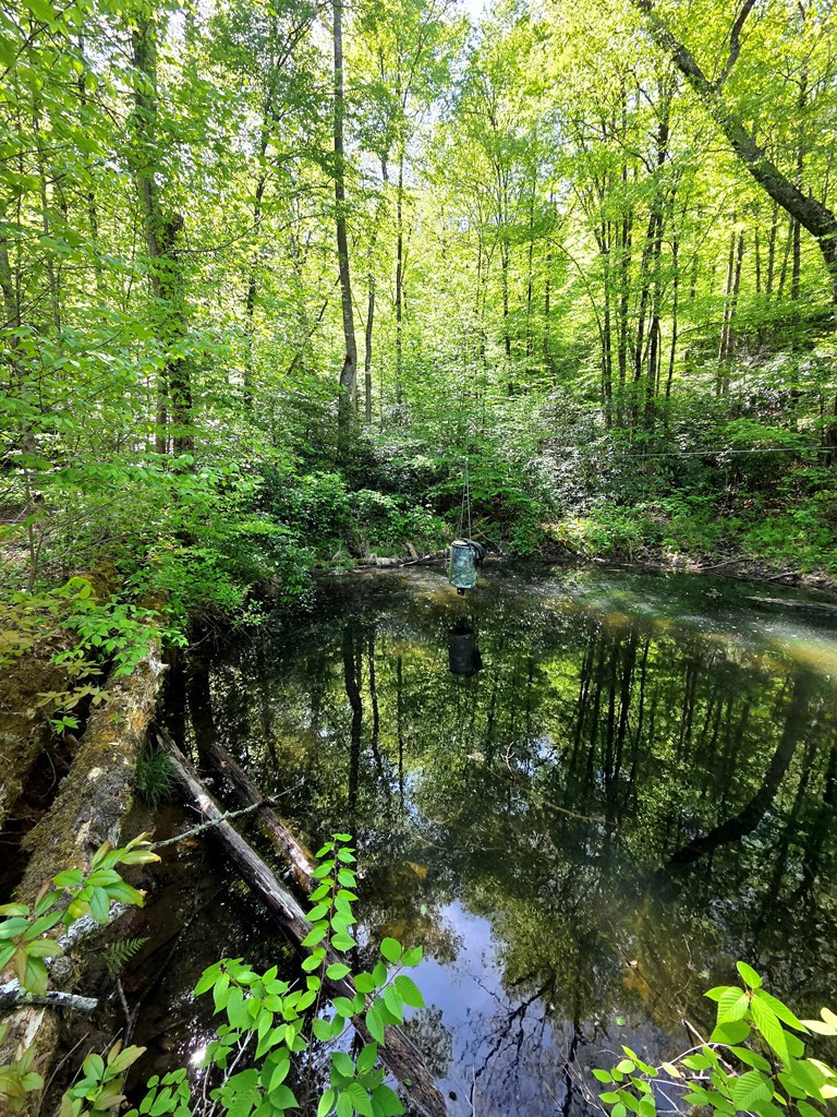 main property photo 42