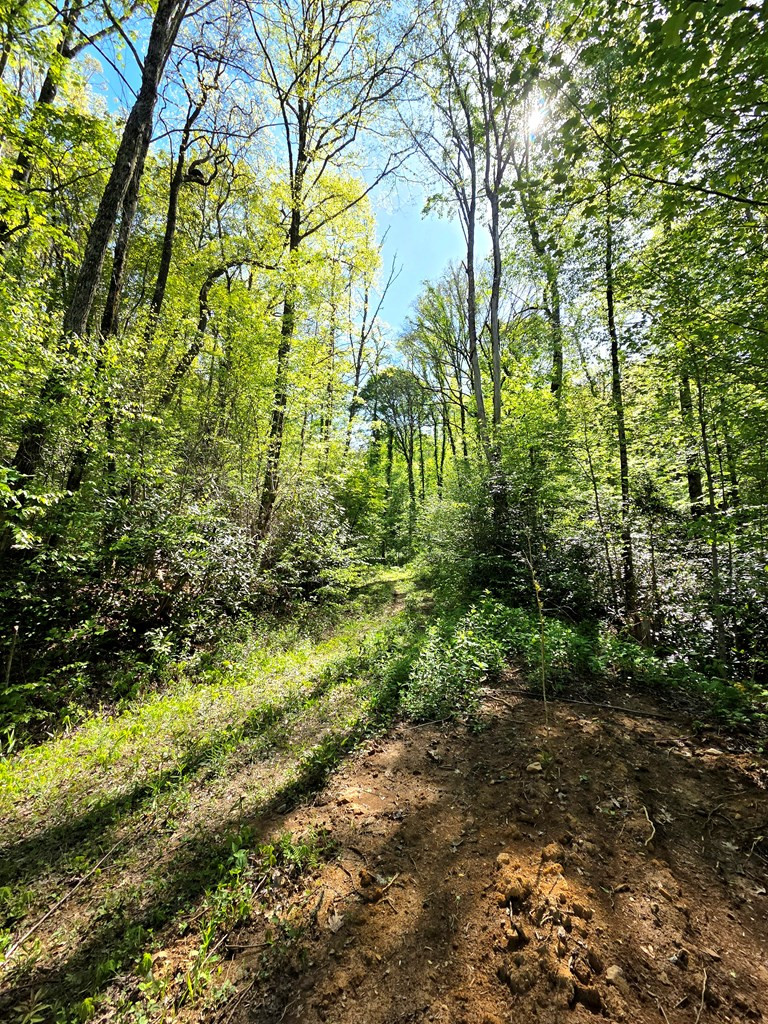 main property photo 52