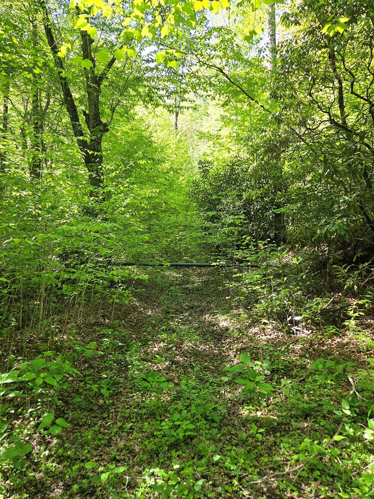 main property photo 53