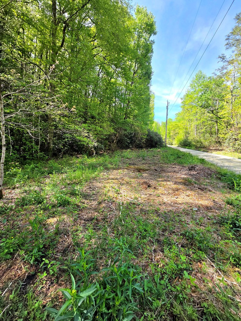 main property photo 70
