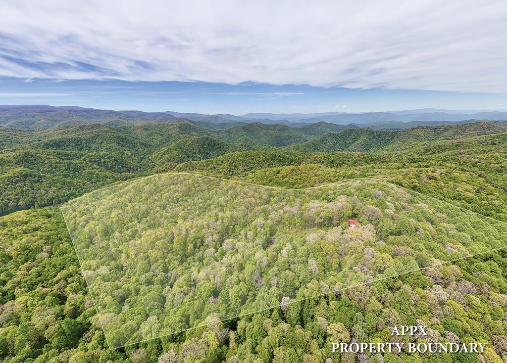main property photo 86