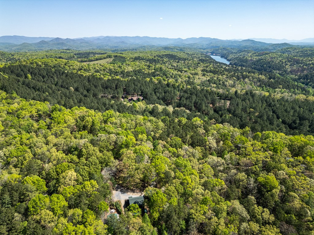 main property photo 54
