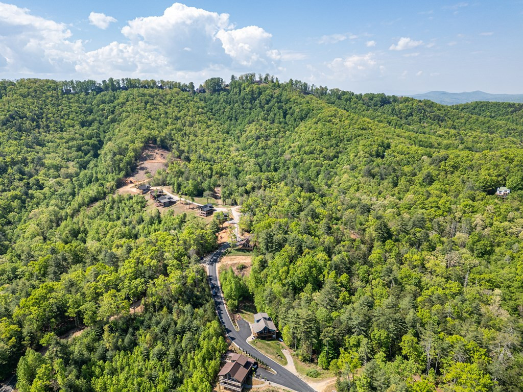 main property photo 48