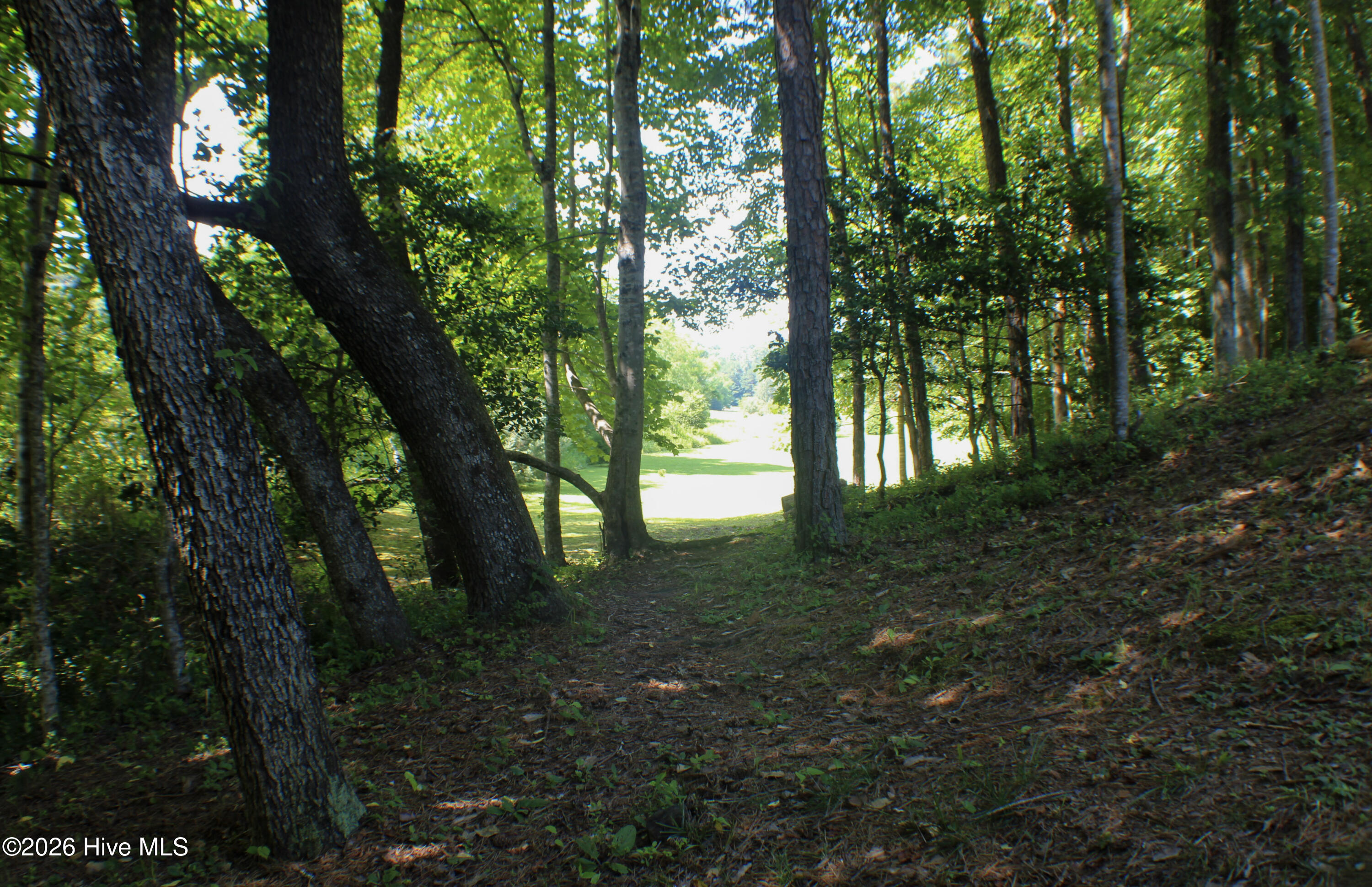 main property photo 51