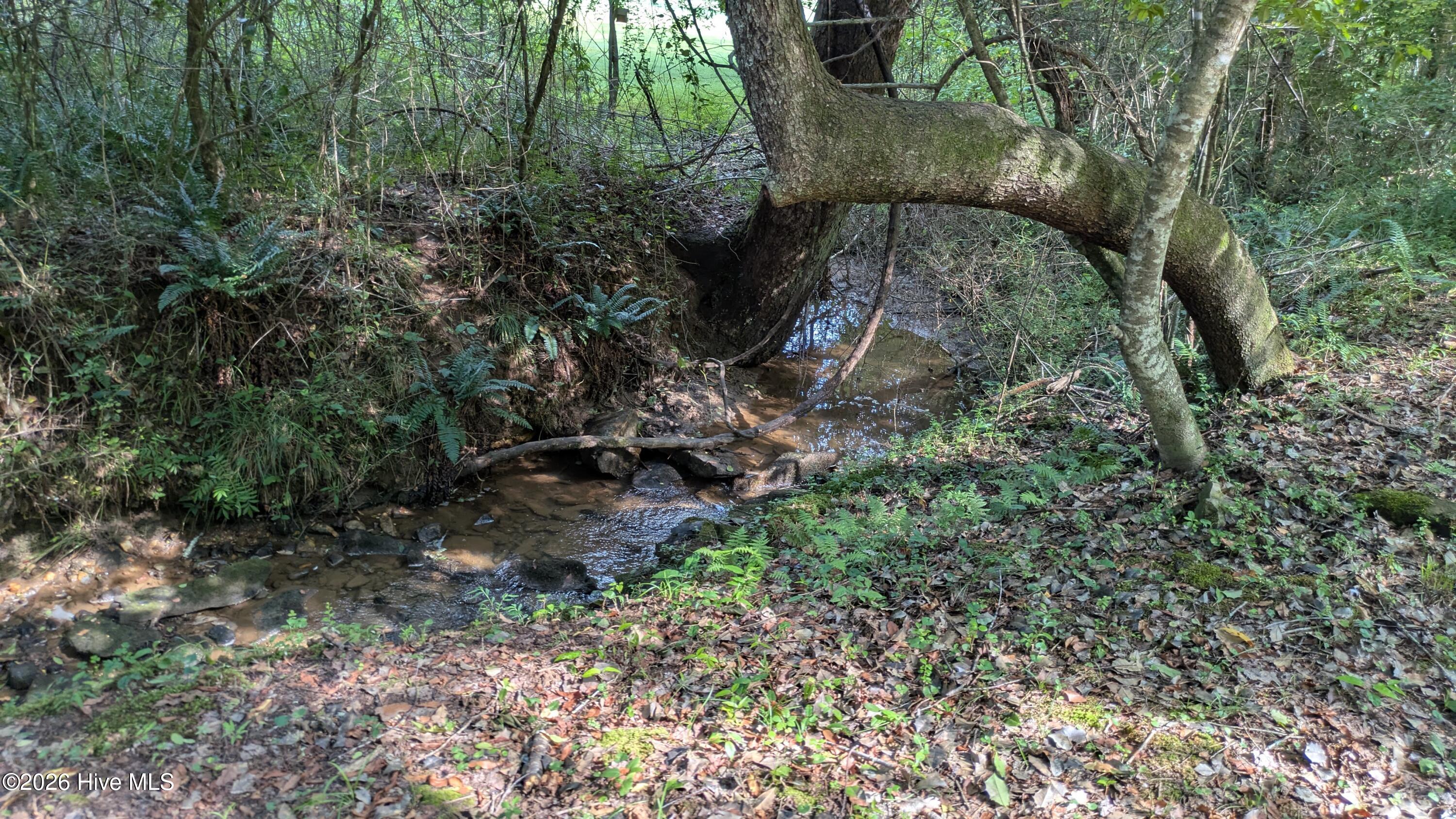 main property photo 53