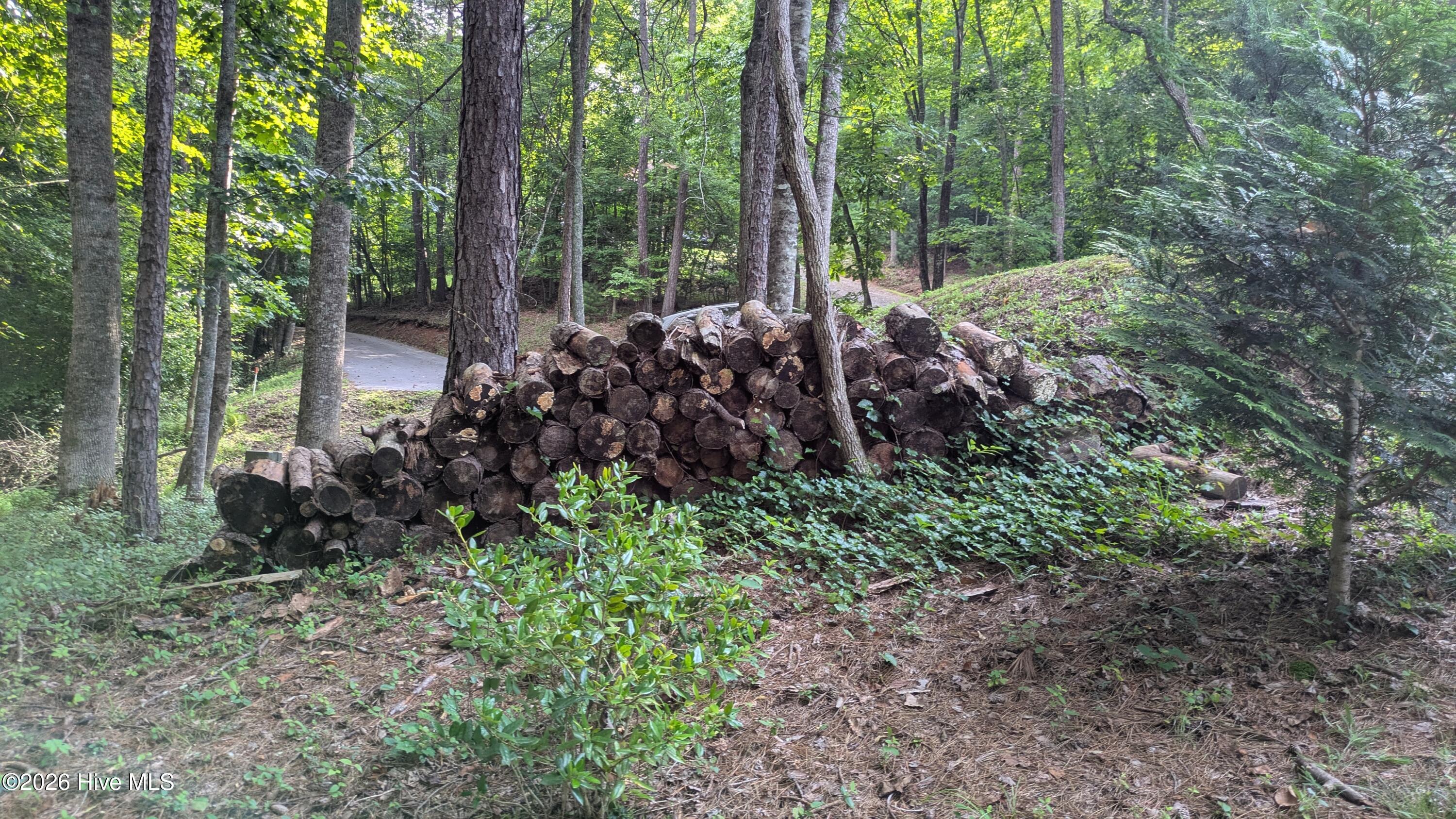 main property photo 57