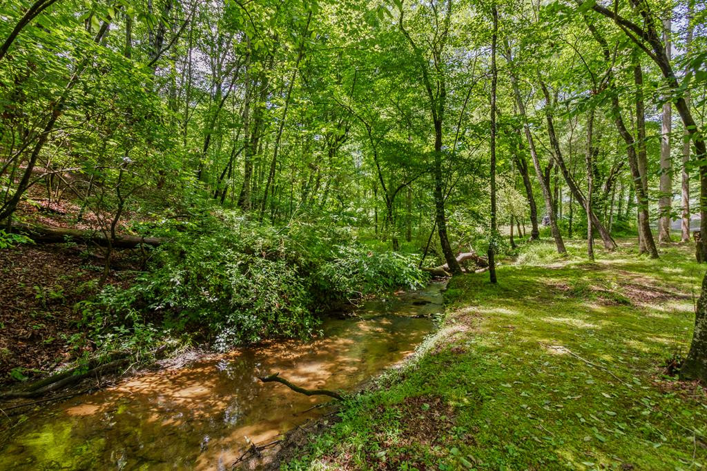 main property photo 63