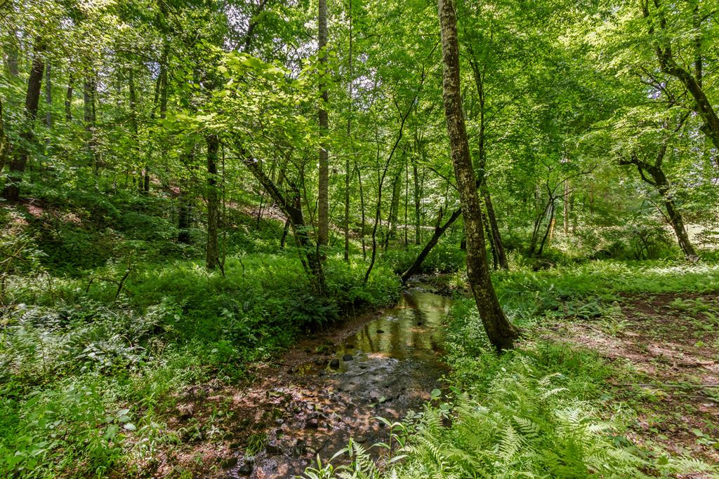 main property photo 68