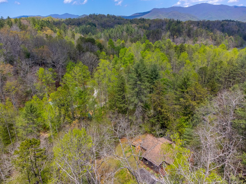 main property photo 56