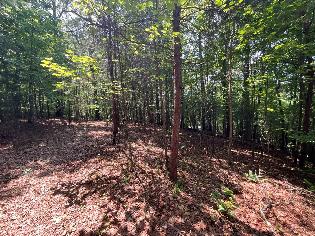 main property photo 9