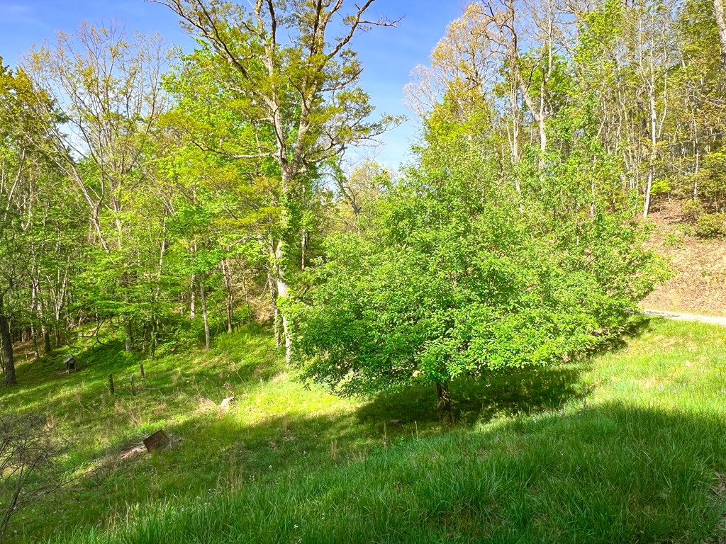 main property photo 5