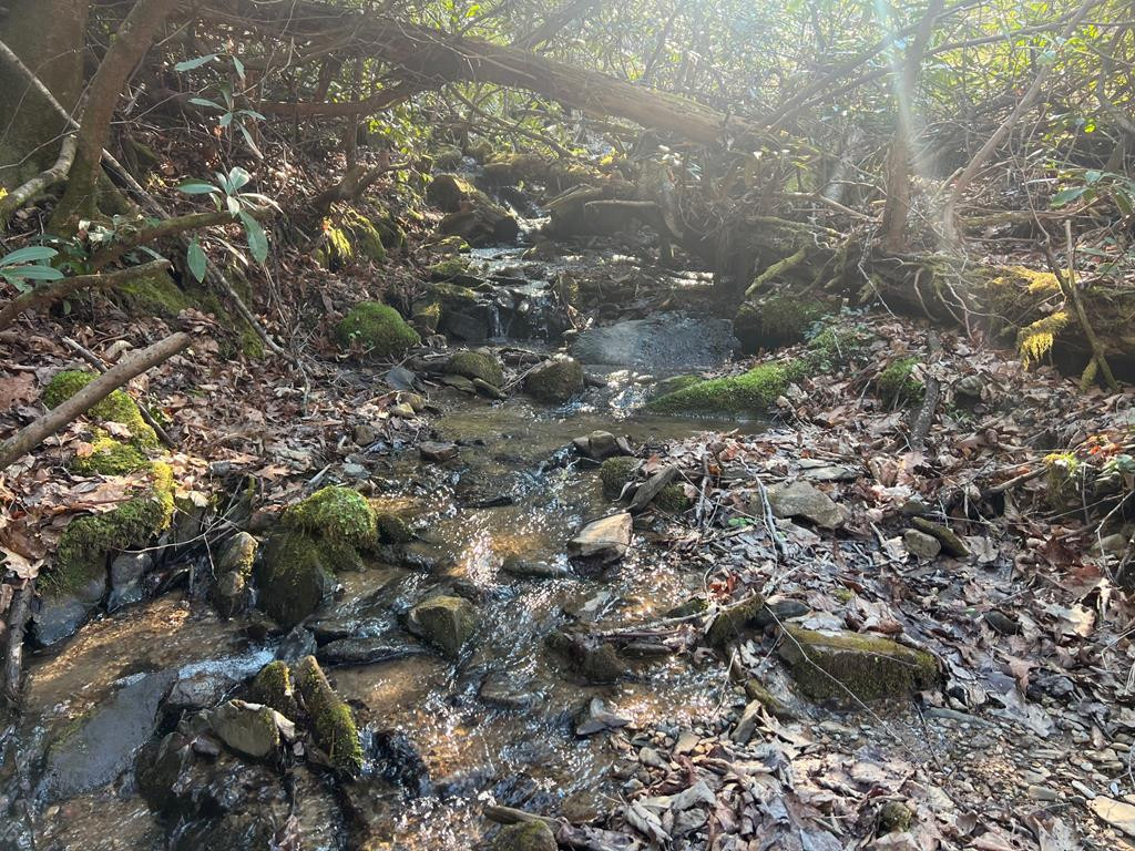 main property photo 57