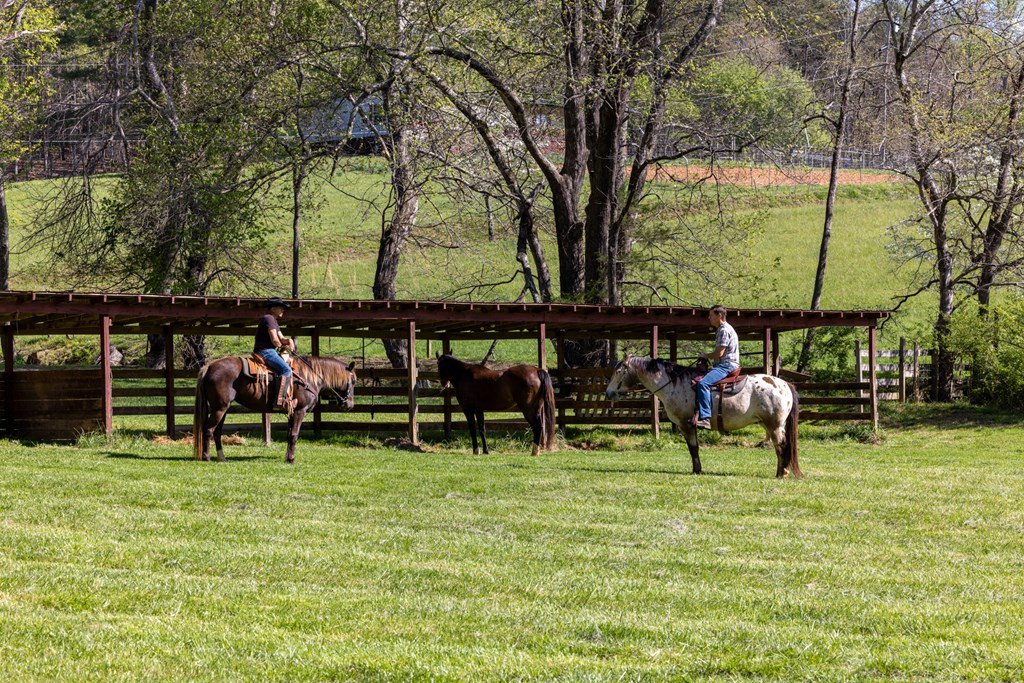 main property photo 123