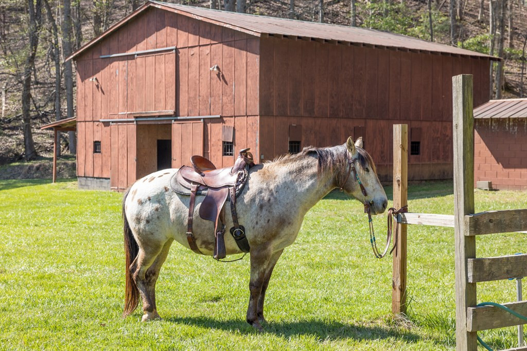 main property photo 127