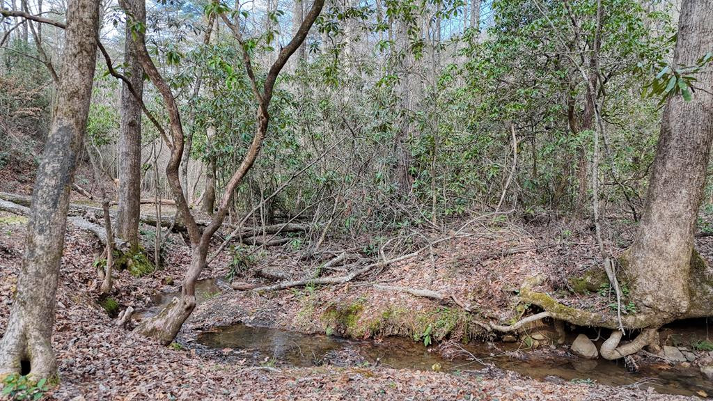main property photo 121