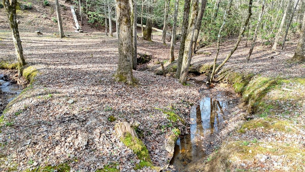 main property photo 125