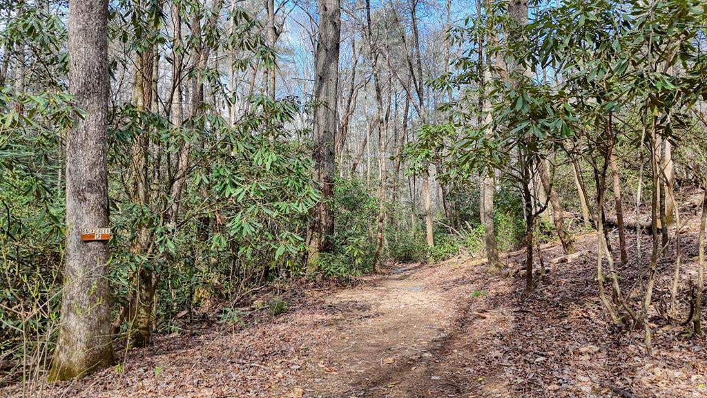 main property photo 128