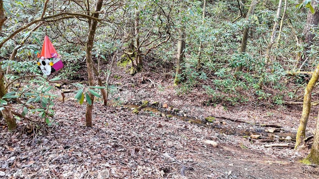 main property photo 133