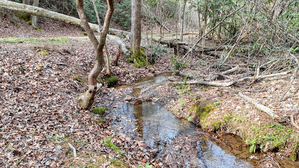 main property photo 53