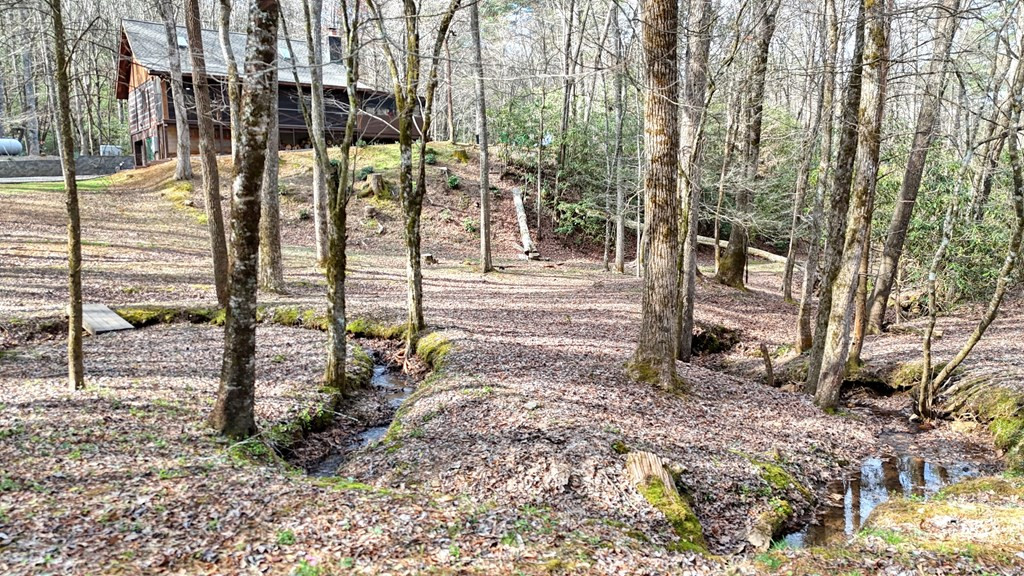 main property photo 54