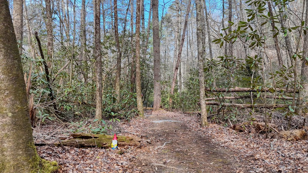 main property photo 57