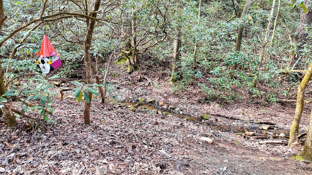 main property photo 59