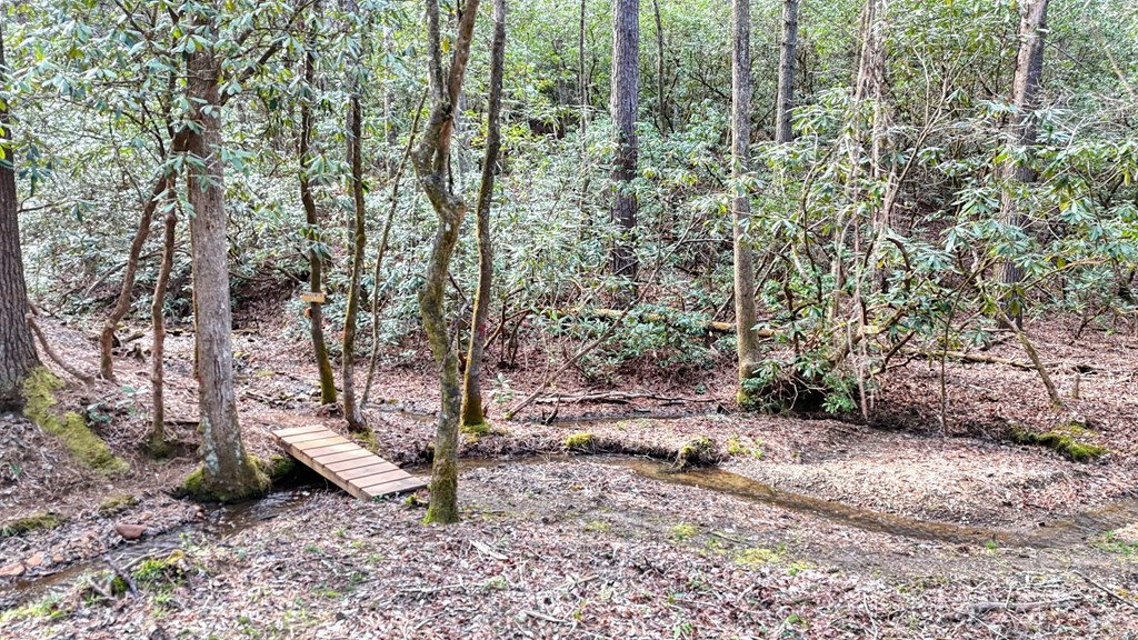 main property photo 62