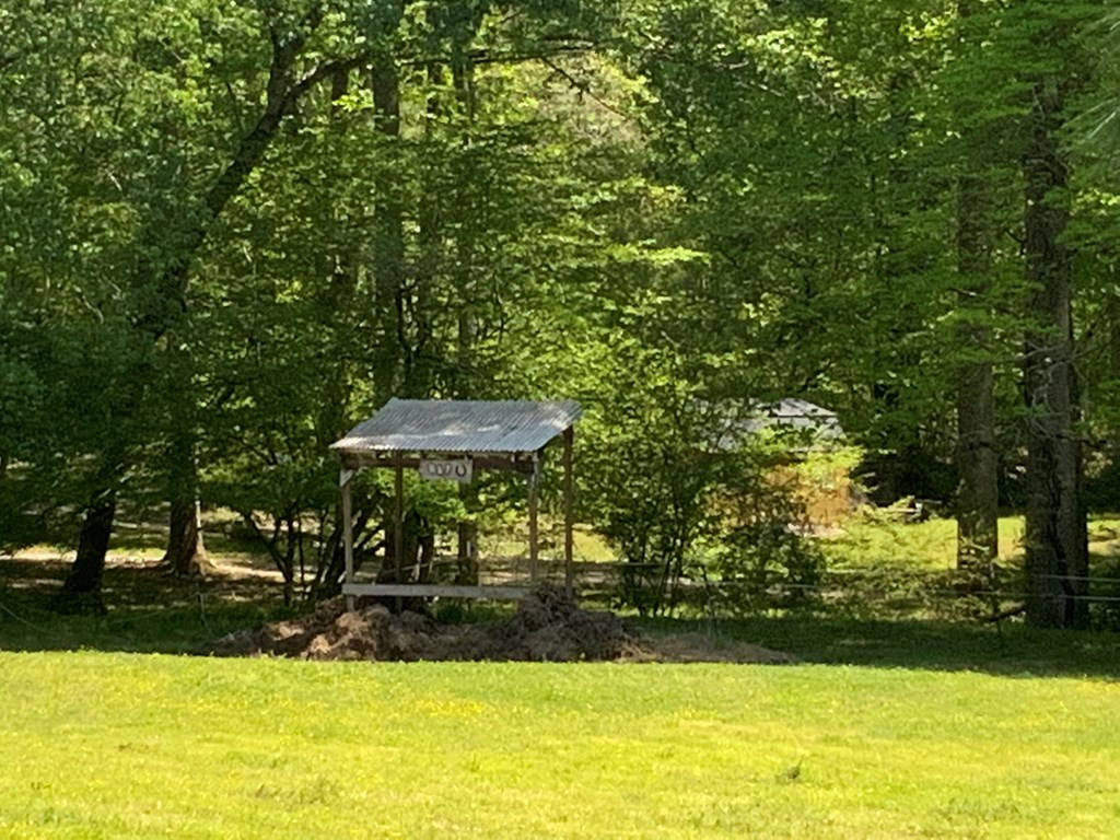 main property photo 67