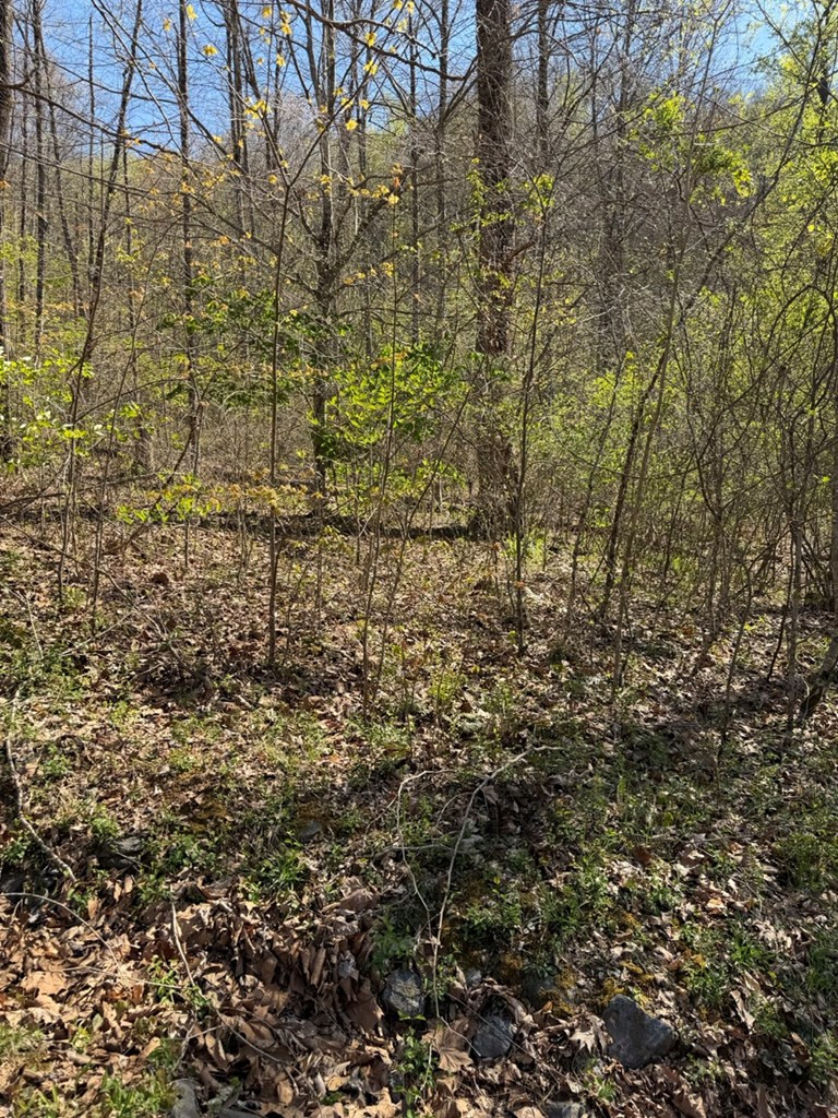 main property photo 6