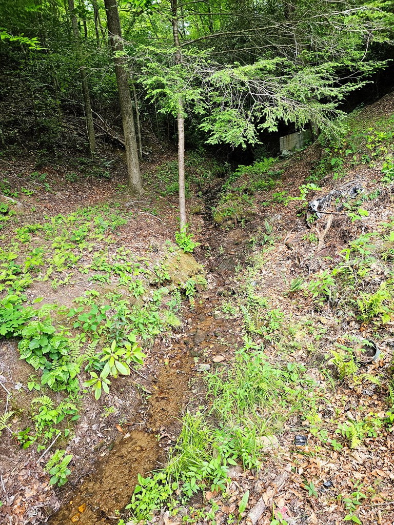 main property photo 11