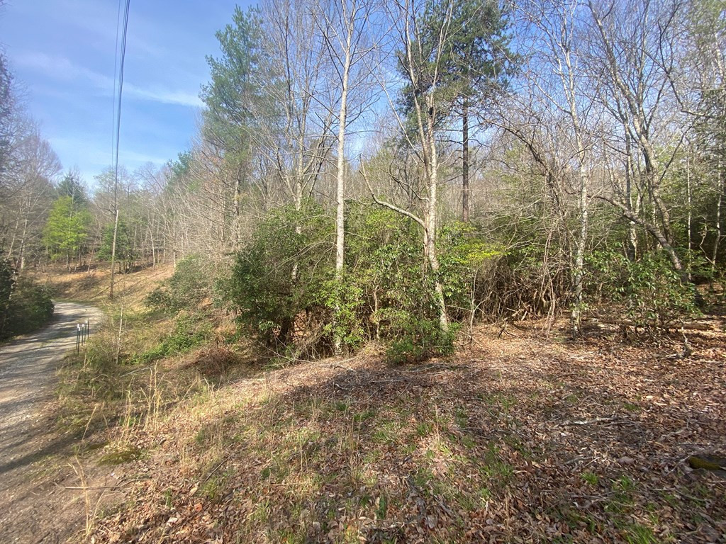 main property photo 12