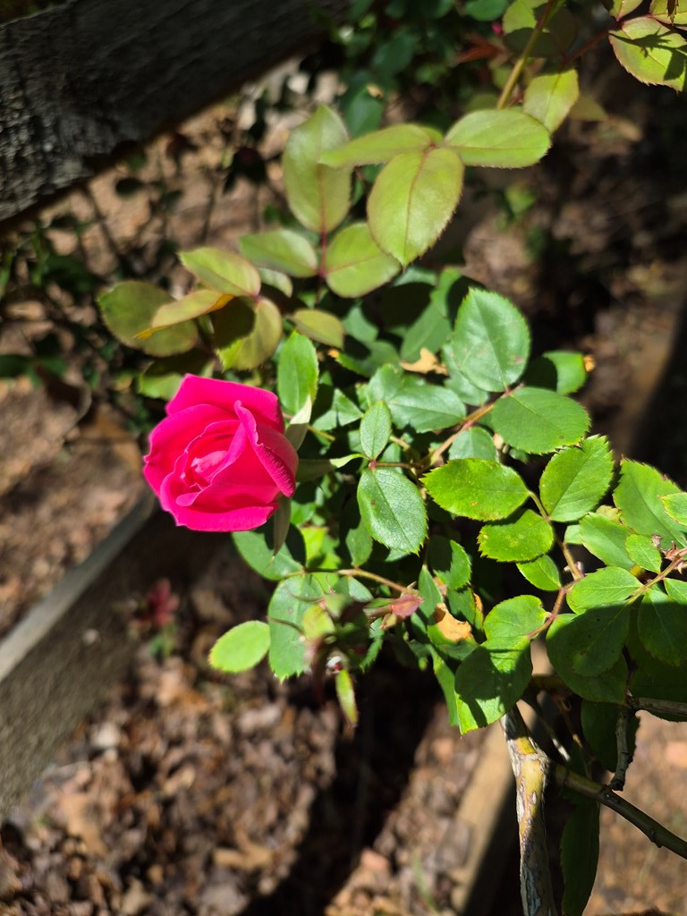 main property photo 50