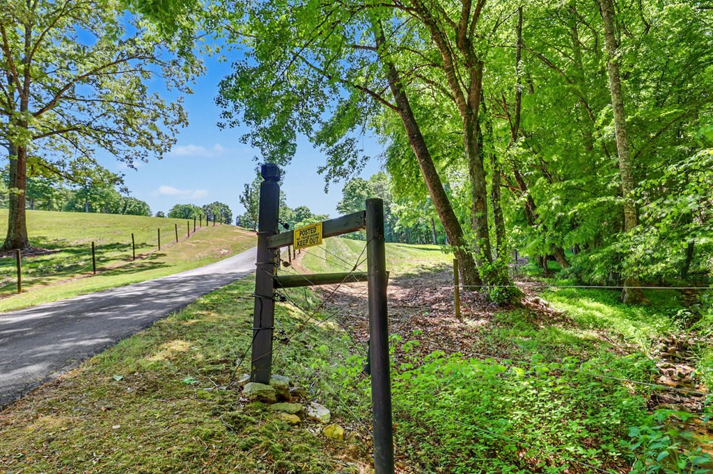 main property photo 61