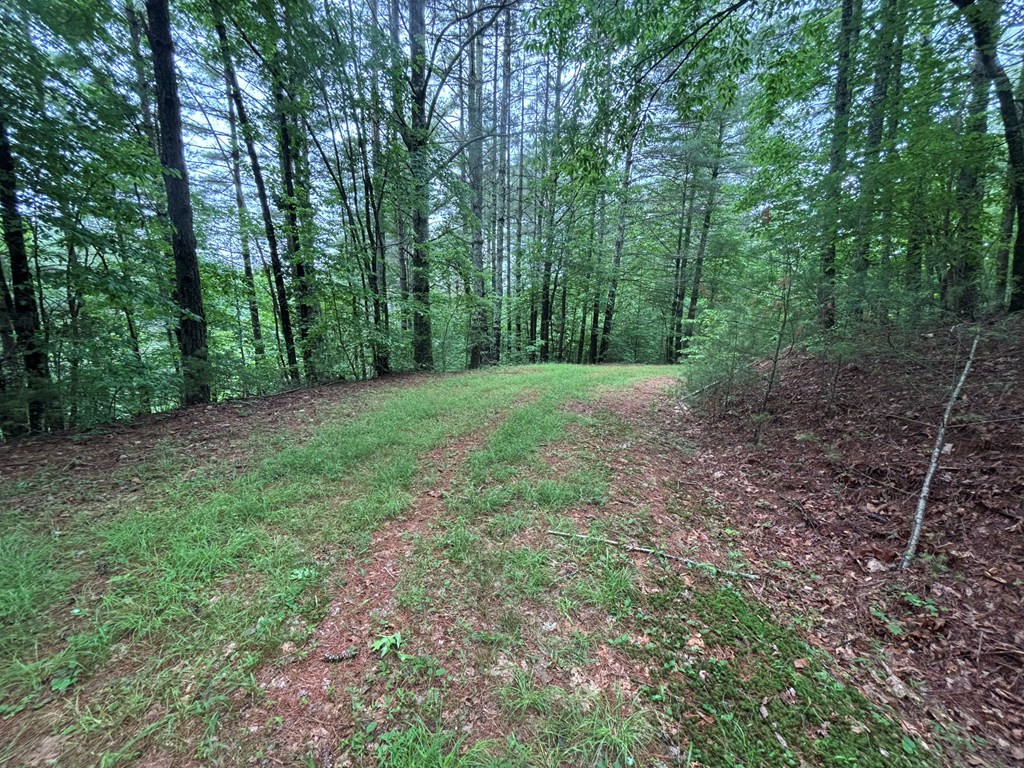 main property photo 6